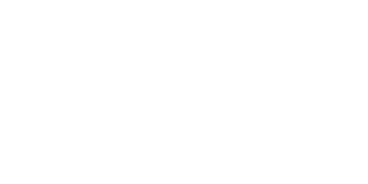 Torch Group, LLC